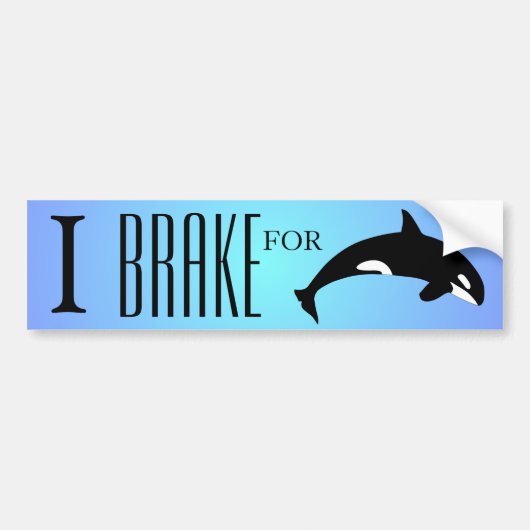 I Rem voor Orca Killer Whale Silhouette Blue Bumpersticker (Voorkant)