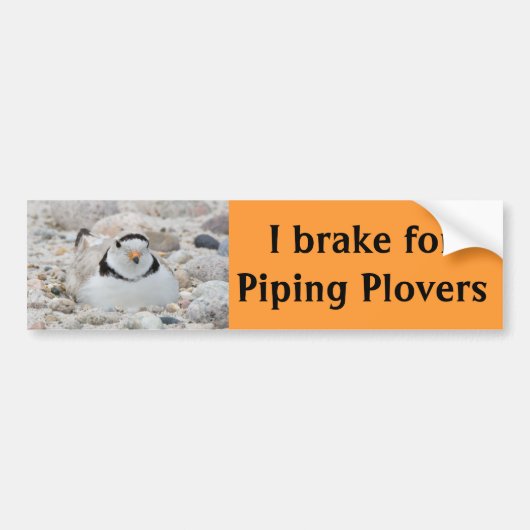 I rem voor pijpleidingpompen bumpersticker (Voorkant)