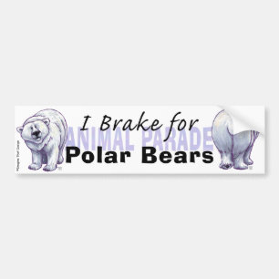 I Rem voor poolBeren Bumpersticker