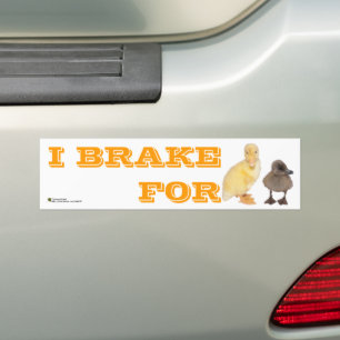 I Rem voor Schattige schijfjes Foto gepersonalisee Bumpersticker