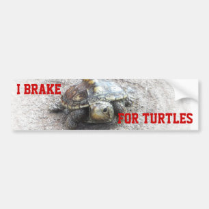 I Rem voor schildpadden Bumpersticker