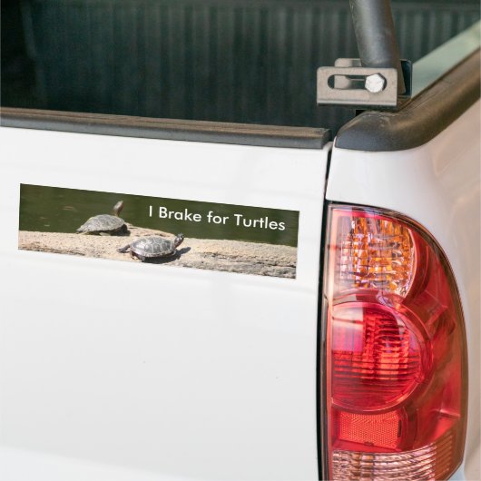 I Rem voor schildpadden Bumpersticker (Op Truck)