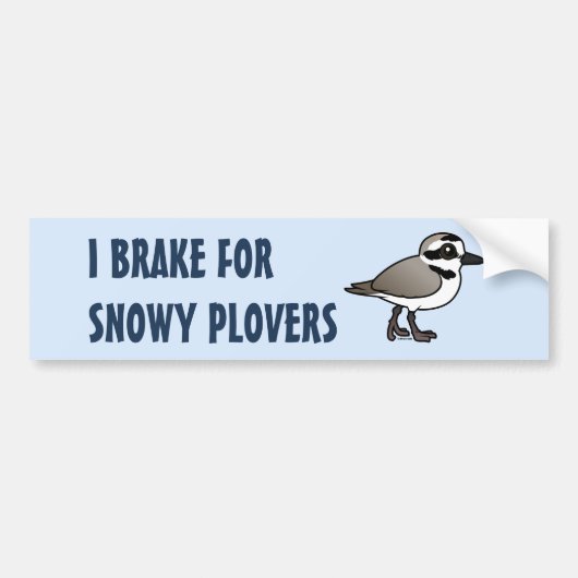 I Rem voor Snowy Plovers Bumpersticker (Voorkant)