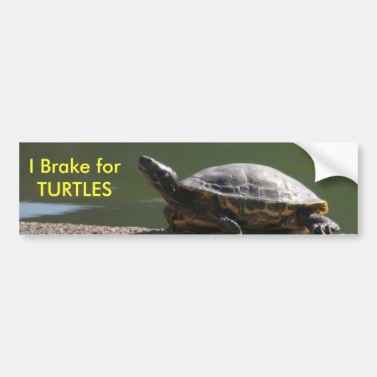 I Rem voor TURTLES Bumpersticker (Voorkant)
