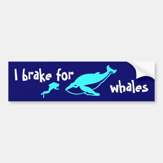 I rem voor walvissen bumpersticker (Voorkant)