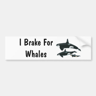 I Rem voor walvissen Bumpersticker