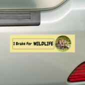 I Rem voor wilde dieren Bumpersticker (Op auto)