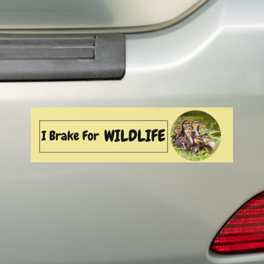 I Rem voor wilde dieren Bumpersticker (Op auto)
