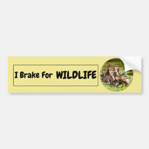 I Rem voor wilde dieren Bumpersticker