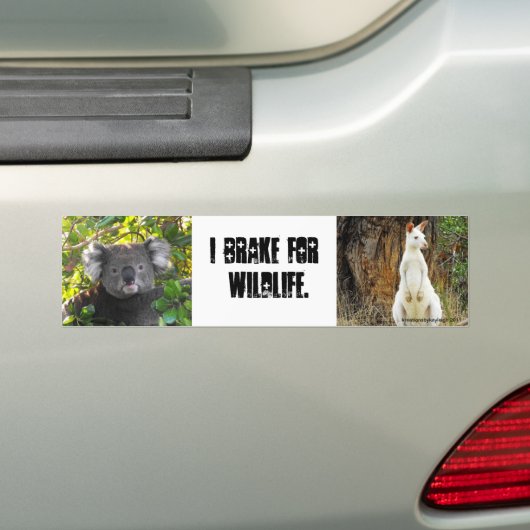 I rem voor wilde dieren bumpersticker (Op auto)