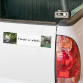 I rem voor wilde dieren Goose Squirrel Bumperstick Bumpersticker (Op Truck)