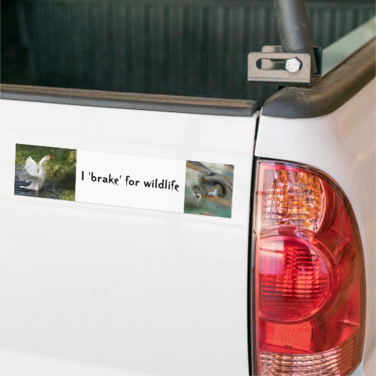 I rem voor wilde dieren Goose Squirrel Bumperstick Bumpersticker (Op Truck)