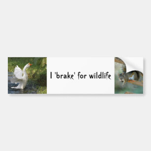 I rem voor wilde dieren Goose Squirrel Bumperstick Bumpersticker