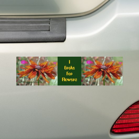 I remmen voor bloemen Daisy Bumpersticker (Op auto)