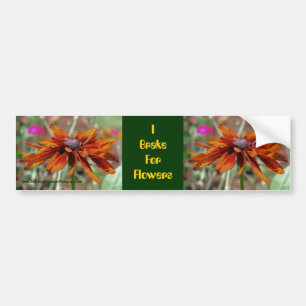 I remmen voor bloemen Daisy Bumpersticker