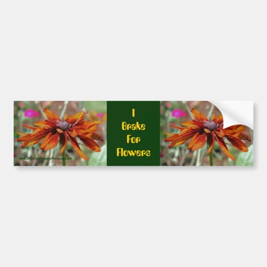 I remmen voor bloemen Daisy Bumpersticker (Voorkant)