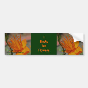 I remmen voor de Bumpersticker van bloemen
