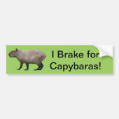 I remmen voor het Capybara Bumpersticker (Voorkant)