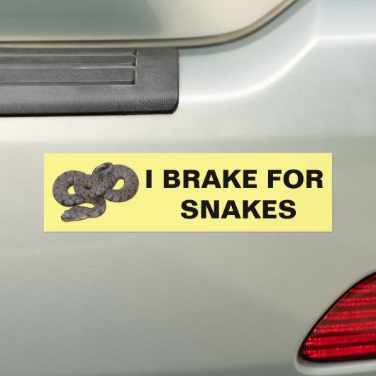 I remmen voor slangen Bumpersticker (Op auto)