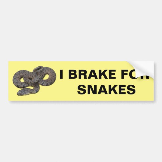 I remmen voor slangen Bumpersticker (Voorkant)