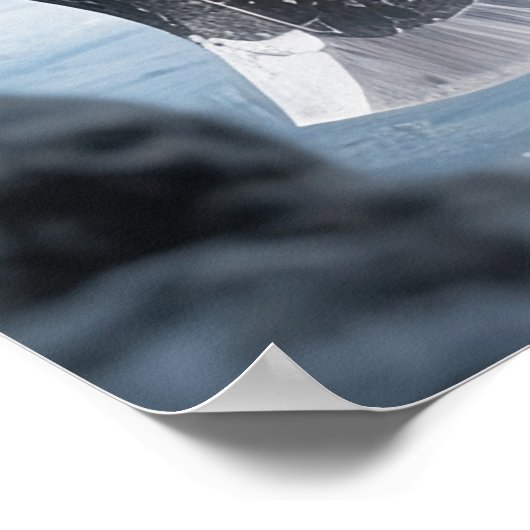 I Sense Trouble Poster (Hoek)