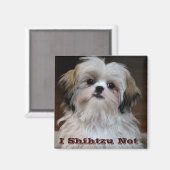 I Shihtzu Niet grappig shih tzu koelkast magneet (Voorkant / Achterkant)
