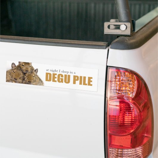I Slaap in een Degu Pile Bumpersticker (Op Truck)