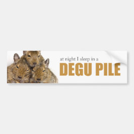 I Slaap in een Degu Pile Bumpersticker