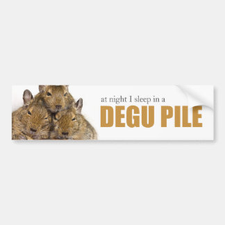 I Slaap in een Degu Pile Bumpersticker