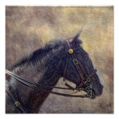 I Spy Foto Afdruk (Voorkant)