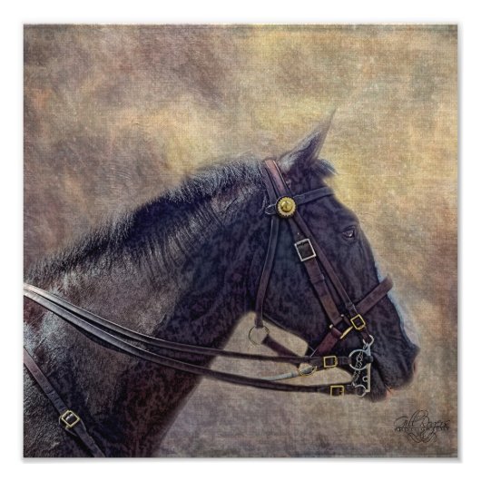 I Spy Foto Afdruk (Voorkant)