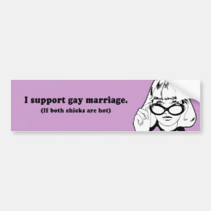 I STEUN GAY MARRIAGE BUMPERSTICKER