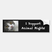 I Support Animal Rights Bumpersticker (Voorkant)