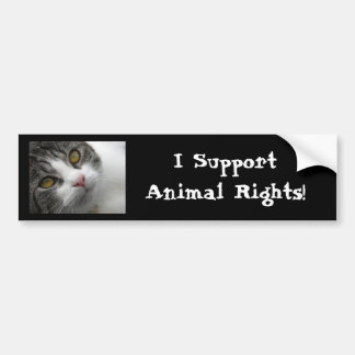 I Support Animal Rights Bumpersticker