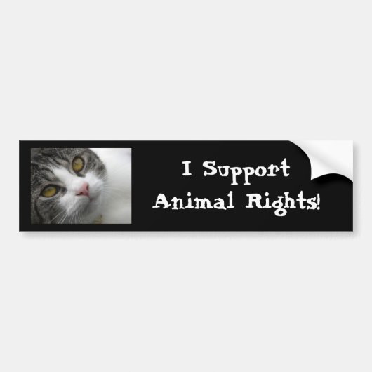 I Support Animal Rights Bumpersticker (Voorkant)