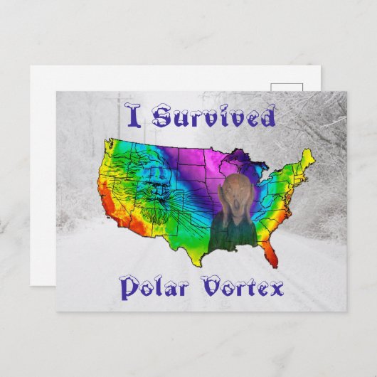 I Survived Polar Vortex Briefkaart (Voorkant / Achterkant)