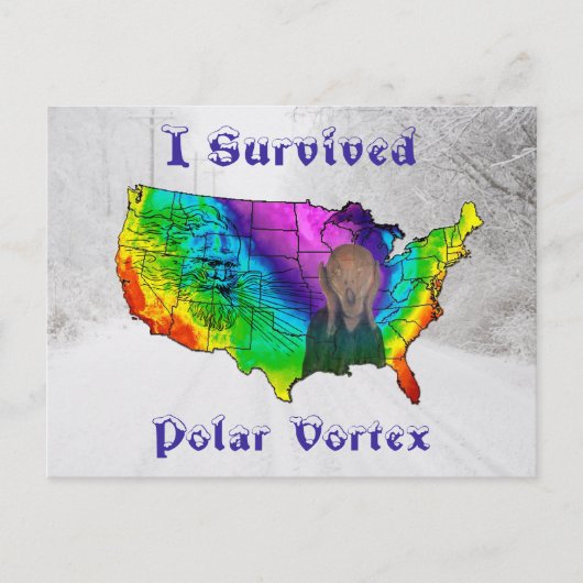 I Survived Polar Vortex Briefkaart (Voorkant)