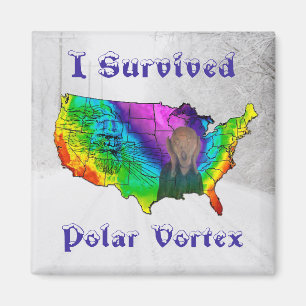 I Survived Polar Vortex Magneet
