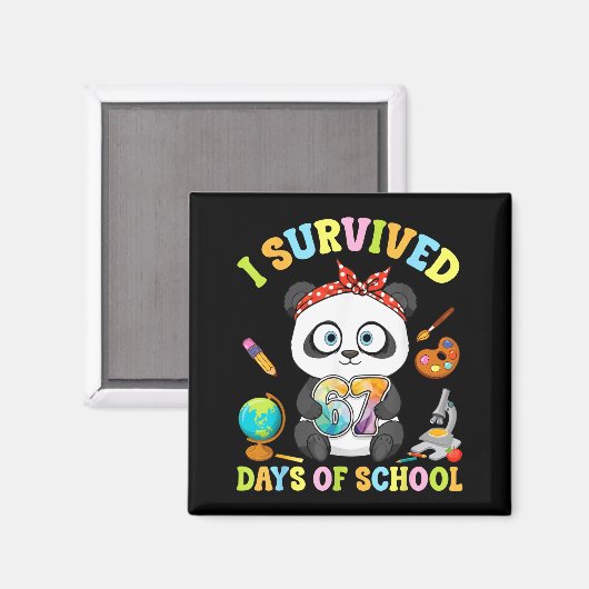 I Survived Six Seven Days Of School Cute Panda Stu Magneet (Voorkant / Achterkant)