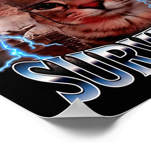 I Survived Today's Tummy Ache Survivor Funny Cat M Poster (Hoek)