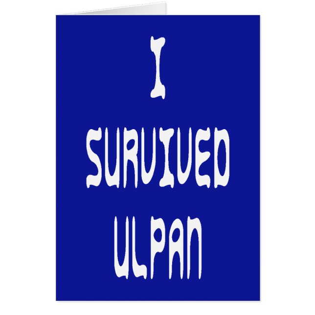 I Survived Ulpan (Voorkant)