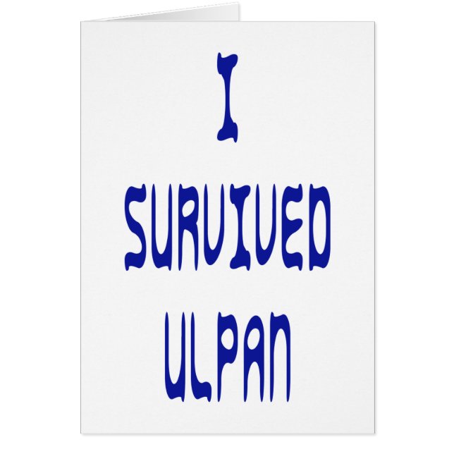 I Survived Ulpan (Voorkant)
