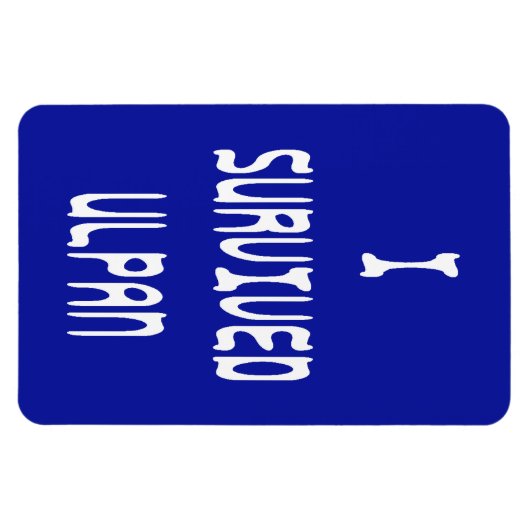 I Survived Ulpan Magneet (Horizontaal)