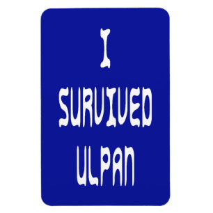 I Survived Ulpan Magneet