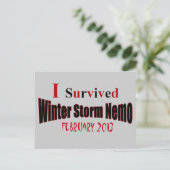 I Survived Winter Storm NEMO Briefkaart (Staand voorkant)