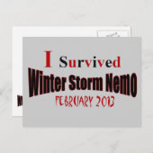 I Survived Winter Storm NEMO Briefkaart (Voorkant / Achterkant)