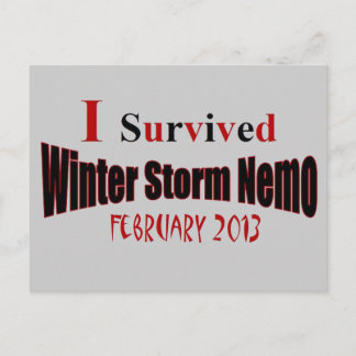 I Survived Winter Storm NEMO Briefkaart