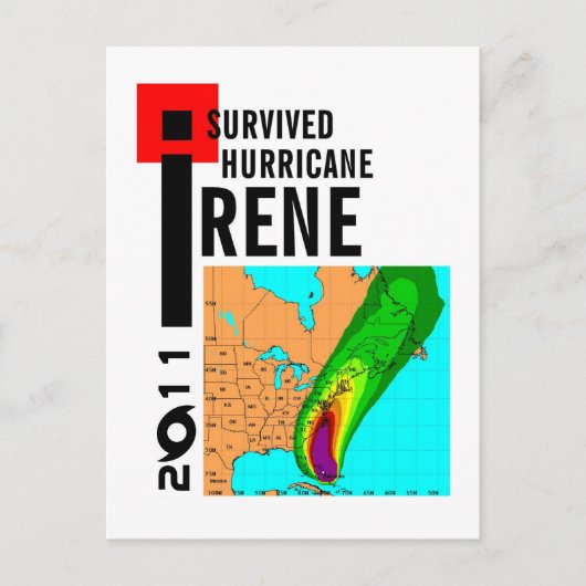 I Surviving Hurricane Irene Briefkaart (Voorkant)
