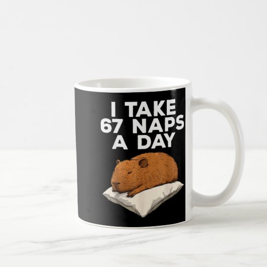 I Take 67 Naps A Day Funny Capybara Six Seven Meme Koffiemok (Rechts)