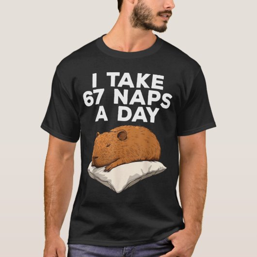 I Take 67 Naps A Day Funny Capybara Six Seven Meme T-shirt (Voorkant)
